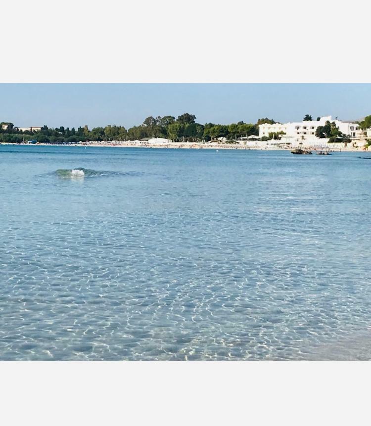 Total White Villa *